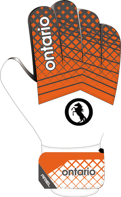 entry level goalkeeper gloves