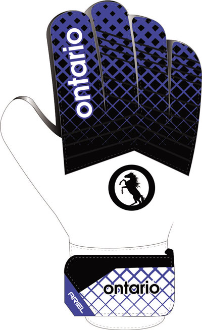 entry level goalkeeper gloves