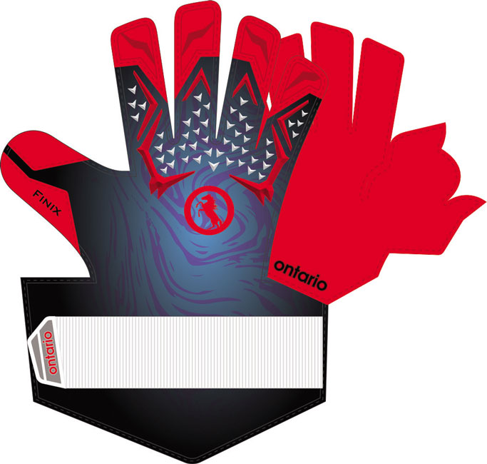 professional level goalkeeper gloves