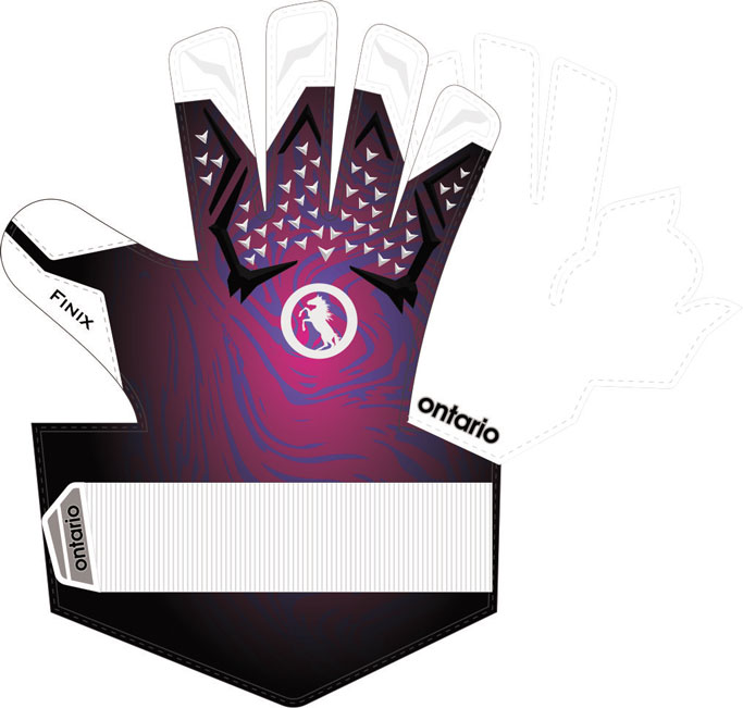 professional level goalkeeper gloves